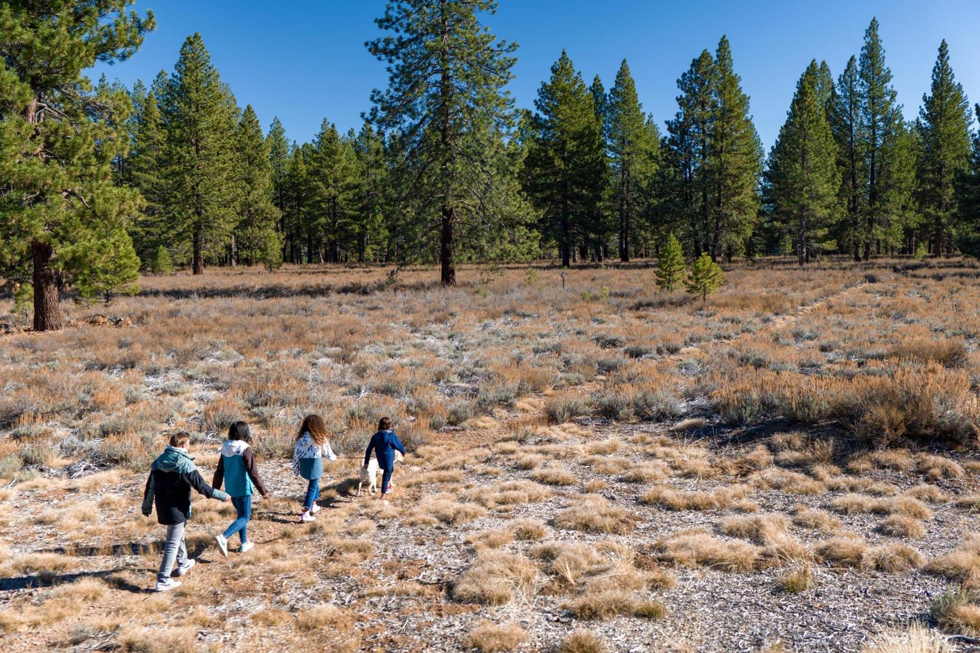 The Cottages - Golf, Pool, Play - 2-Bedroom Truckee Εξωτερικό φωτογραφία